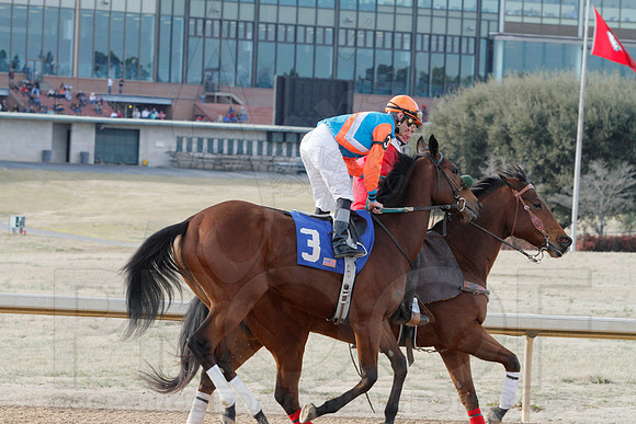Oaklawn Park (Scenery) 1-26-14 (©Justin Manning) JWM_0125