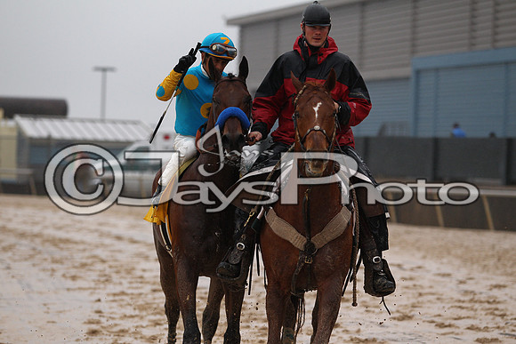 Oaklawn (Rebel Stakes Day) 3-14-2015 (©Justin Manning) JWM_401