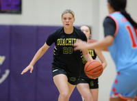 Evolution vs. Prolific Elite (AAU High School Girls Basketball) 4-26-25_JWM_0317