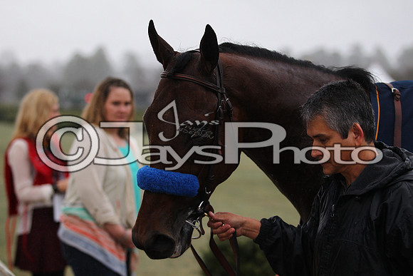 Oaklawn (Rebel Stakes Day) 3-14-2015 (©Justin Manning) JWM_494