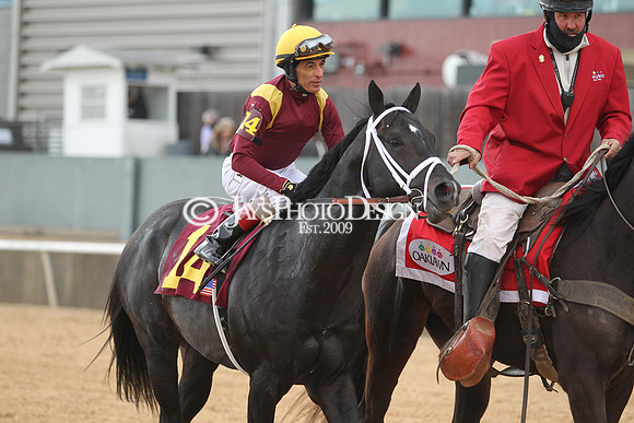 z190218_SouthwestStakesDay_Manning_779