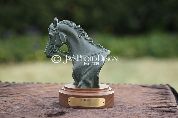 z190218_SouthwestStakesDay_Manning_907