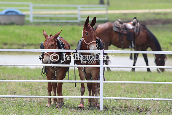 Whiskey Ridge Ranch (Chuckwagon Races) 5-26-24_JWM_0552