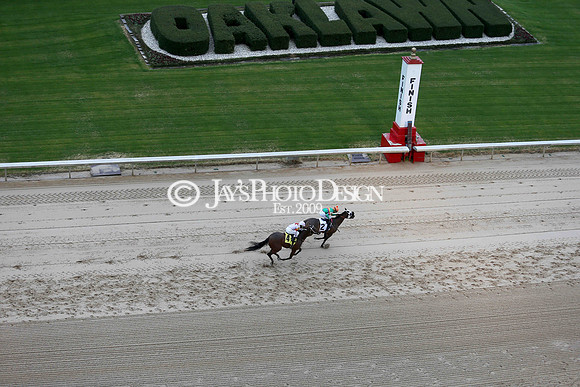 z210206_KingCottonStakesDay_Manning__0012