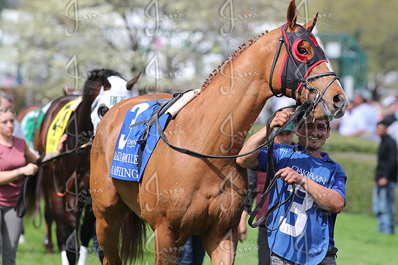 Oaklawn Mile 3-29-25_JWM_0073