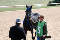 Oaklawn Park 3-3-13 JWM0010 (© Angela Greb)