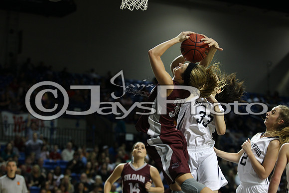 Greenwood vs. Siloam Springs 6A State Finals 3-13-2015 (©Justin Manning) JWM_271