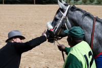 Oaklawn Park 3-3-13 JWM0020 (© Angela Greb)