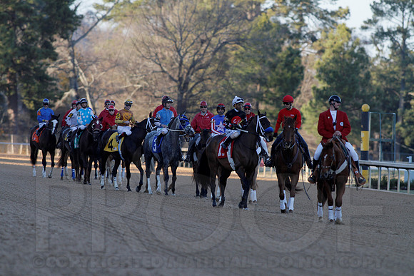 Smarty Jones Stakes 01-20-14 (©Justin Manning) JWM_0318