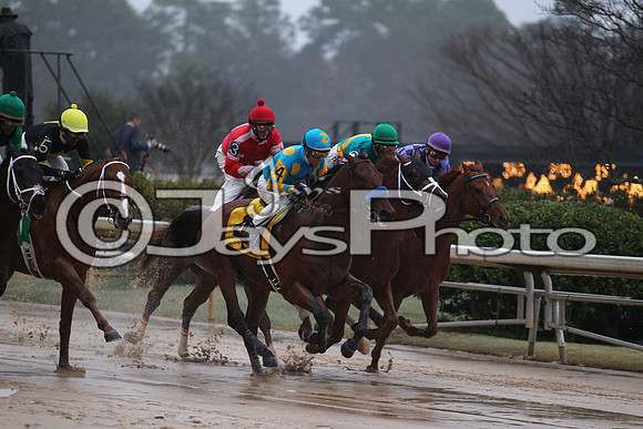 Oaklawn (Rebel Stakes Day) 3-14-2015 (©Justin Manning) JWM_332
