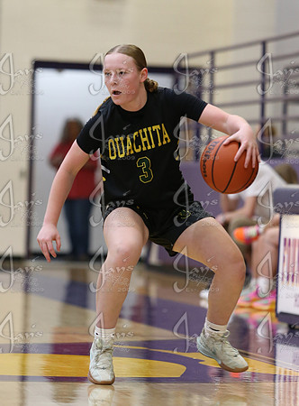 Evolution vs. Prolific Elite (AAU High School Girls Basketball) 4-26-25_JWM_0038