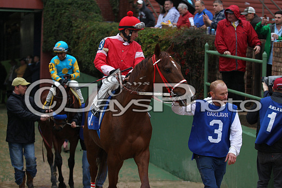 Oaklawn (Rebel Stakes Day) 3-14-2015 (©Justin Manning) JWM_167