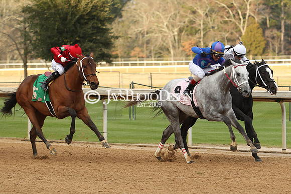 z190125_SmartyJonesStakesDay_Manning_0382