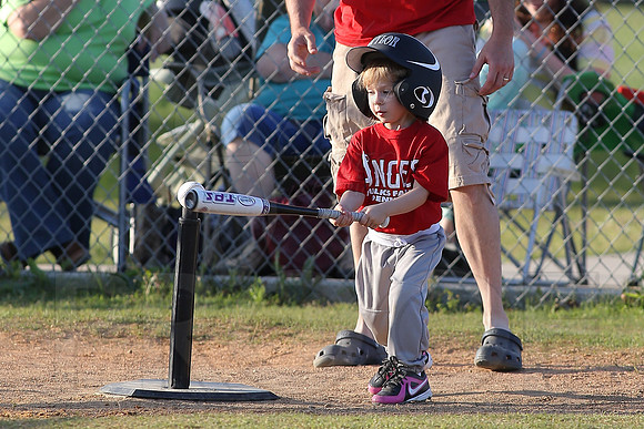 White Sox vs Angels 4-22-13 (©Justin Manning) JWM0140