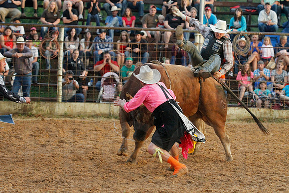 Bull Bash (Brickfest) 6-28-2014 (©Justin Manning) JWM_198