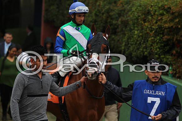 Oaklawn (Rebel Stakes Day) 3-14-2015 (©Justin Manning) JWM_211