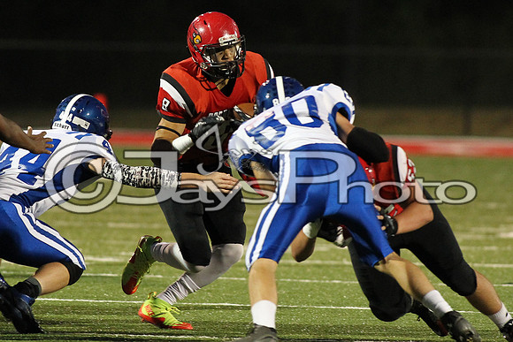 Bismarck @ Harmony Grove 10-2-2015 (©Justin Manning) JWM_0258