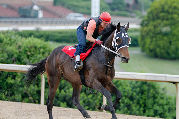 Morning Workouts (Arkansas Derby)11