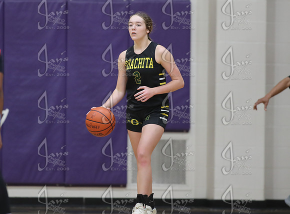 Evolution vs. Prolific Elite (AAU High School Girls Basketball) 4-26-25_JWM_0551