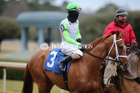 z210123_Pippin Stakes_Manning_0099