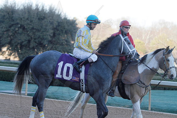 Smarty Jones Stakes 01-20-14 (©Justin Manning) JWM_0375