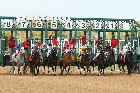 z190125_SmartyJonesStakesDay_Manning_0349