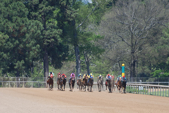 DSC_0004