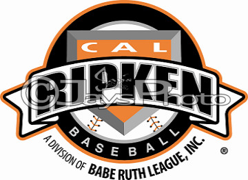 Cal Ripkin Baseball