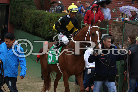 Oaklawn (Rebel Stakes Day) 3-14-2015 (©Justin Manning) JWM_194