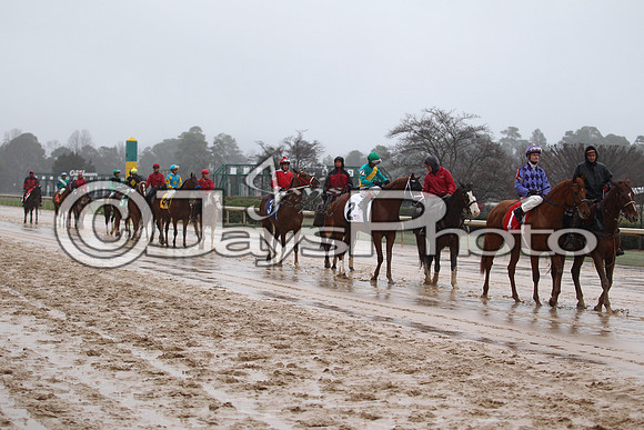 Oaklawn (Rebel Stakes Day) 3-14-2015 (©Justin Manning) JWM_225