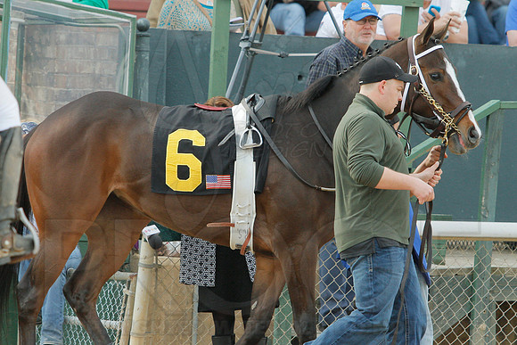 Honeybee Stakes (Grade III) 3-8-2014 (© Justin Manning) JWM_0089