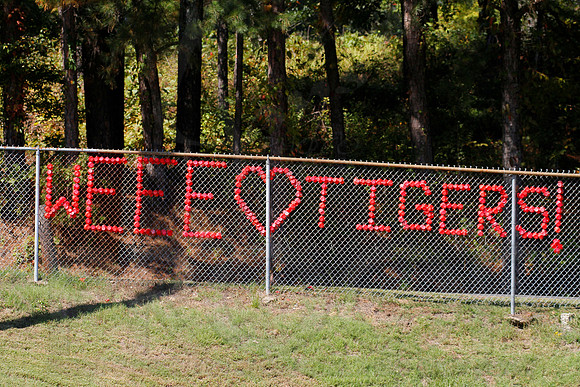 Harding @ OBU 10-20-12 (Justin Manning)0125