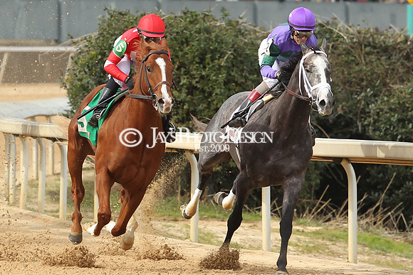 z190218_SouthwestStakesDay_Manning_014