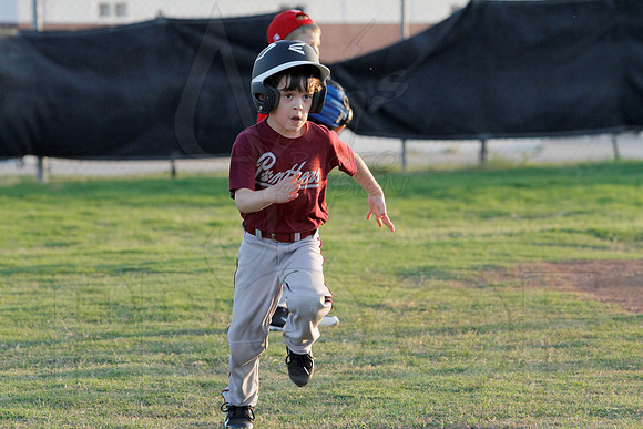Phillies vs. Panthers 5-6 year old 5-6-2014 (© Justin Manning) JWM_0004