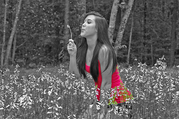 DSC_0019-3 black and white-color4
