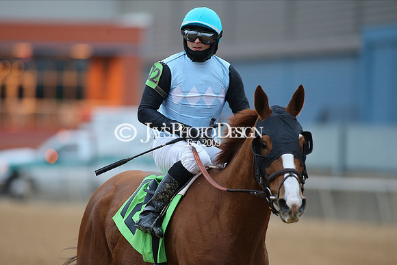 z210123_Pippin Stakes_Manning_0353