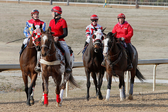 Oaklawn Park (Scenery) 1-26-14 (©Justin Manning) JWM_0073