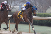 Oaklawn (Rebel Stakes Day) 3-14-2015 (©Justin Manning) JWM_048