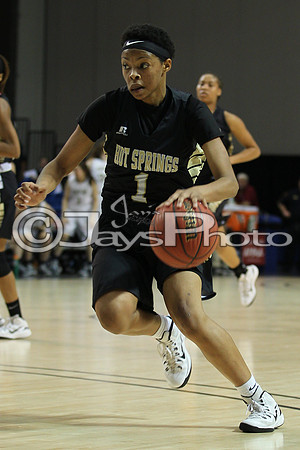 Pulaski Academy vs. Hot Springs 5A Girls State Finals 3-14-2015 (©Justin Manning) JWM_542