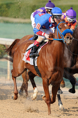 Honeybee Stakes (Grade III) 3-8-2014 (© Justin Manning) JWM_1366