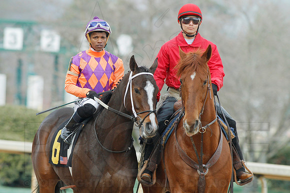 Honeybee Stakes (Grade III) 3-8-2014 (© Justin Manning) JWM_0198