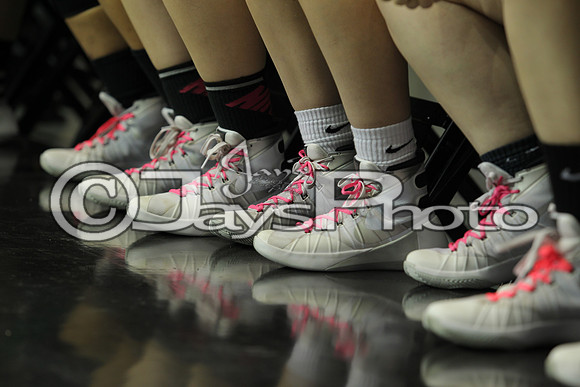 3A Girls State Finals Valley Springs vs. Greenland 3-12-16_JWM_0233