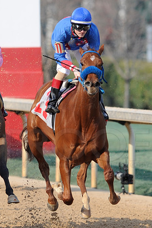 Honeybee Stakes (Grade III) 3-8-2014 (© Justin Manning) JWM_1412