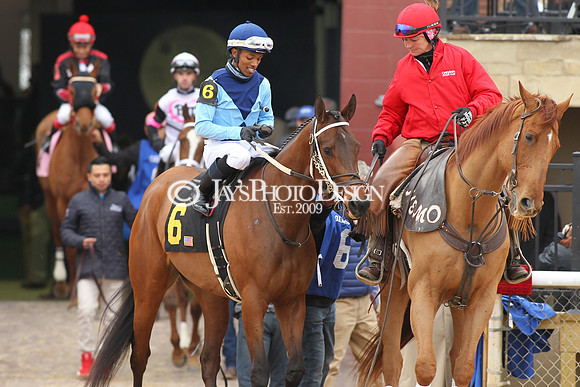 z190218_SouthwestStakesDay_Manning_230