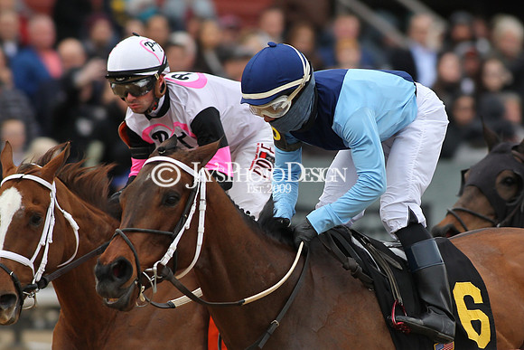 z190218_SouthwestStakesDay_Manning_377