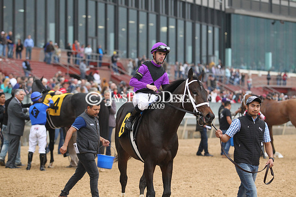 z200217_SouthwestStakesDay_Manning_3609