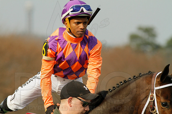 Honeybee Stakes (Grade III) 3-8-2014 (© Justin Manning) JWM_0139