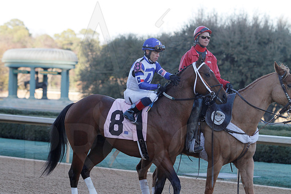 Smarty Jones Stakes 01-20-14 (©Justin Manning) JWM_0362