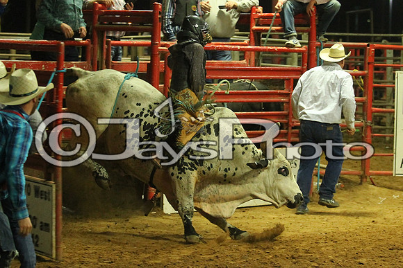Saline County Rodeo 9-9-17_JWM00603