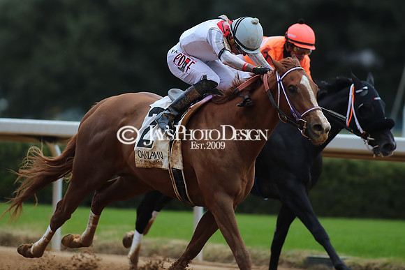 z250104_MockingbirdStakes _JWM_0600